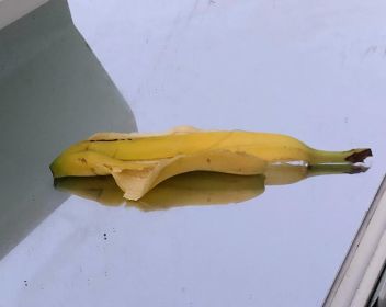 banana art